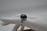 Anello con Serafinite