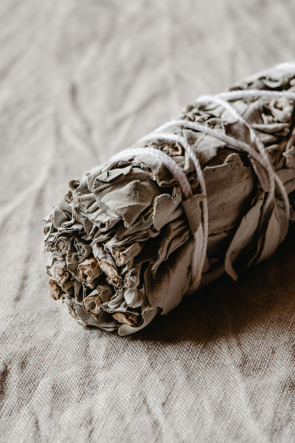 White Sage Against Envy and Evil Eye